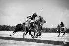 La Baule Derby Polo une belle édition 2014 en prévision