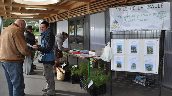 La Baule : Distribution gratuite de jeunes arbres.