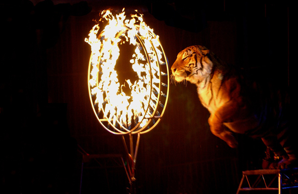 L’histoire fabuleuse du cirque par Jean-Claude Guillaume