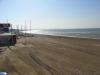 Le banc des chiens pour regarnir la plage