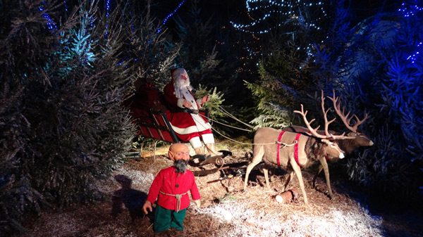 Noël magique : sacrés lutins !