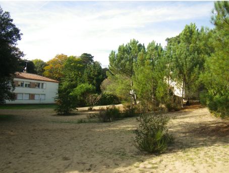 La Baule : L'avenir du centre Les Ecureuils