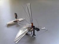 Des robots made in La Baule
