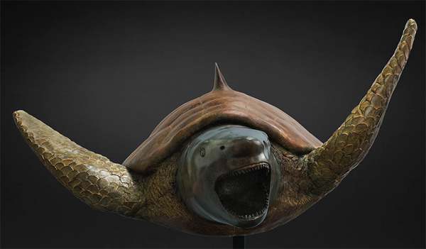 tortue-requin par Mauro Corda