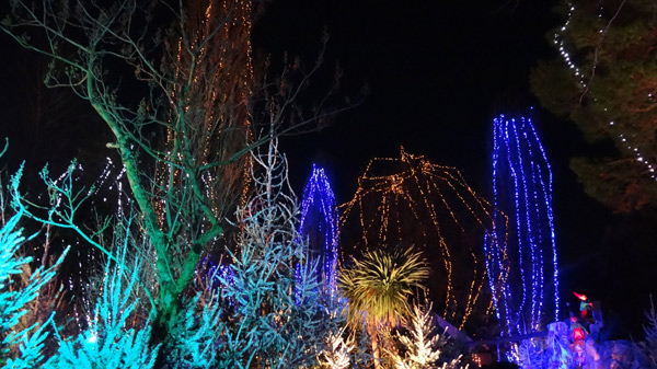 Noël magique : sacrés lutins !