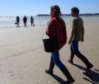 La Baule :  Les grandes marées attirent les pêcheurs à pied