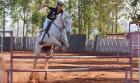 Le Jumping International de la Baule, une compétition en plein renouvellement !