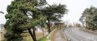 La Baule :   Des travaux boulevard Chevrel