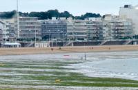La Baule : Comme chaque année la chaleur  provoque l'arrivée des algues vertes