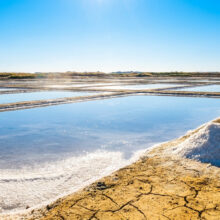 Canicule et sel : le manque de vent ralentit la récolte