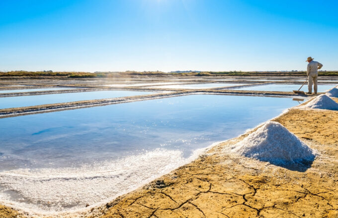 Canicule et sel : le manque de vent ralentit la récolte