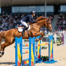 Jumping de La Baule 2026 : le programme complet du CSIO 5*